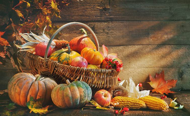 Thanksgiving background with pumpkins